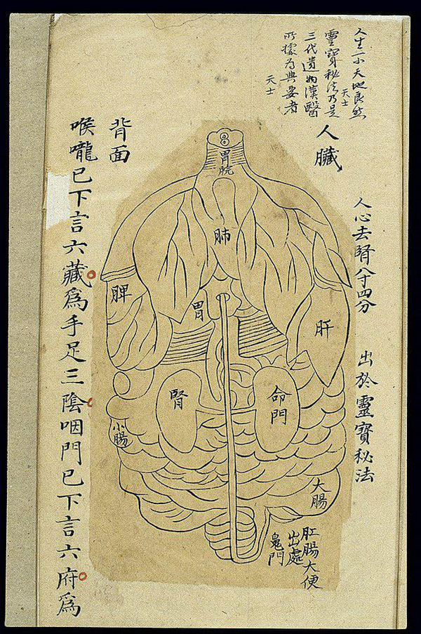 Carte des organes internes, attribué à Hua Tuo. (元門脈訣內照圖 – Yuanmen Maijue Neizhao Tu). Imprimé de la dynastie Qing. 