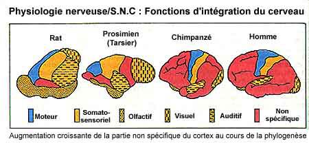 http://www.ethologie.info/Etho-logique/Bio.php