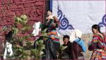 tibet_2019_09_0022