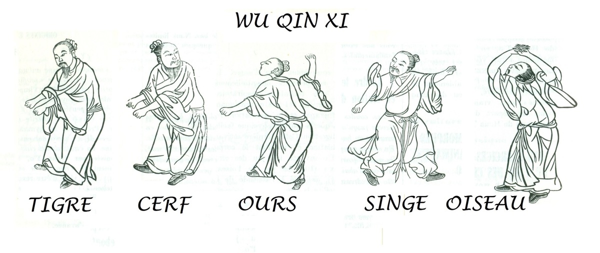 ob_f38221_wu-qin-xi-dr-hua-tuo.jpg