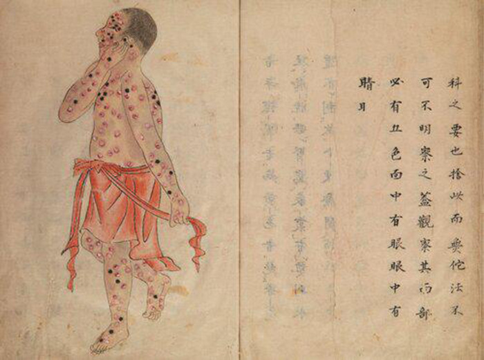 Les Fleurs célestes