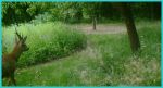 Salle_du_Tienne_0019